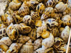 -大东海海鲜酒楼(渔人码头总店)