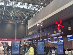 -谢列梅捷沃国际机场