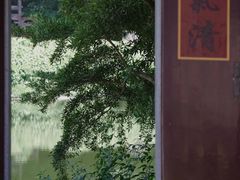 -深圳国际园林花卉博览园