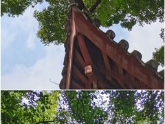-汇龙潭