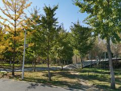 -长白岛森林公园