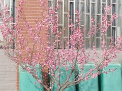 -河南财经政法大学(郑东校区)