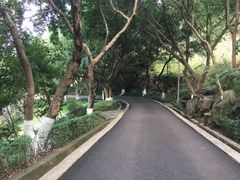 -翠屏公园