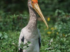 -乐和乐都主题乐园