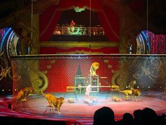 -珠海横琴长隆《卡卡虎奇遇记》