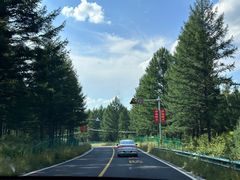 -塞罕坝国家级自然保护区