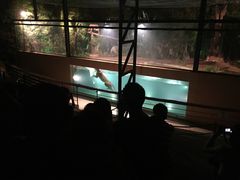 -清迈夜间动物园