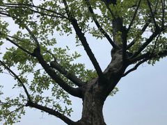 -滆湖低碳生态公园