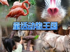 -长鹿旅游休博园