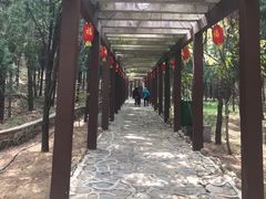 -龙口南山旅游景区