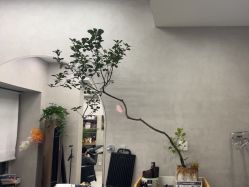 -艺鑫发型工作室YX·HAIR STUDIO