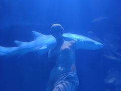 -太平洋海底世界