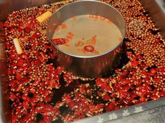 -大隐·成都火锅Bistro(合生麒麟新天地店)