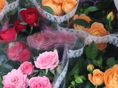 -循礼门鲜花花市(武汉循礼门店)