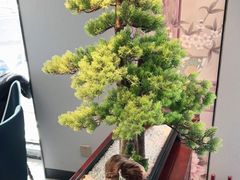 -顺峰(农展馆店)