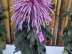 -上海大学（宝山校区）-图书馆