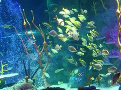 -沈阳海洋探索中心