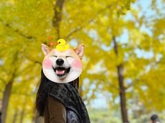 -钓鱼台国宾馆