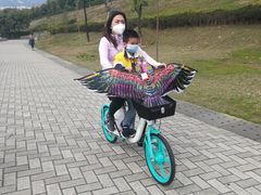 -飞来湖湿地公园