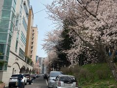 -莲洞本家