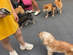 -好恒健身(北市白云店)
