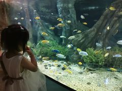 -福州罗源湾海洋世界旅游区