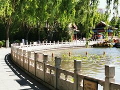 -莲花池公园