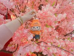 -新城市广场