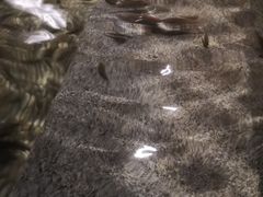 -明谷行馆·温泉