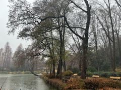 -井之头恩赐公园