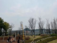 -铁山坪森林公园