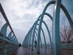 -大兴滨河森林公园