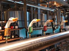 -Goose Island Brewhouse鹅岛精酿啤酒酿造工坊餐厅