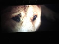 -汇金缪斯影城(八佰伴店)