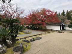 -醍醐寺