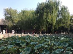 -星巴克(西湖天地店)
