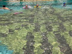 -春晖园度假酒店温泉