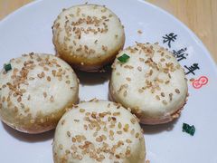 -朱新年·苏式汤团·面点(北寺塔店)