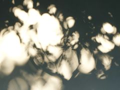 -唐饼家(龙之梦购物中心虹口店)