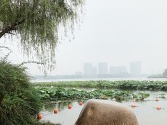 -暨阳湖生态园