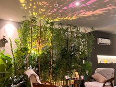 -施奈儿.洗头頭療.按摩SPA.采耳(上梅林店)
