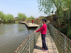 -南汇水蜜桃采摘(大团店)