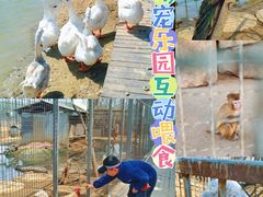 -河北村民俗体验园