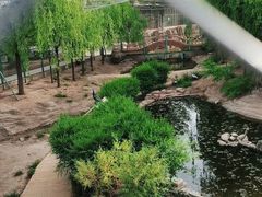 -大青山野生动物园