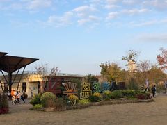 -上海长兴岛郊野公园