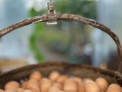 -马陆小张葡萄园农家乐