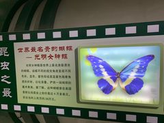 -上海昆虫博物馆