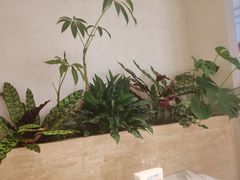 -志明眷村·台式融合菜·宵夜