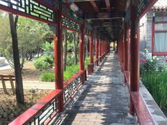 -有喜胶东小馆(超极合生汇太申祥和店)