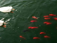 -西安汉城湖景区